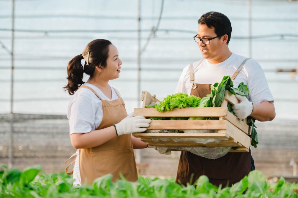 city farm